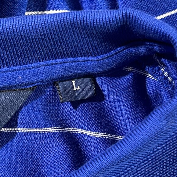 Polo Golf Ralph Lauren Mens Shirt L‎ Blue White Stripe Button Up Outdoorsy Gorp - Picture 9 of 11